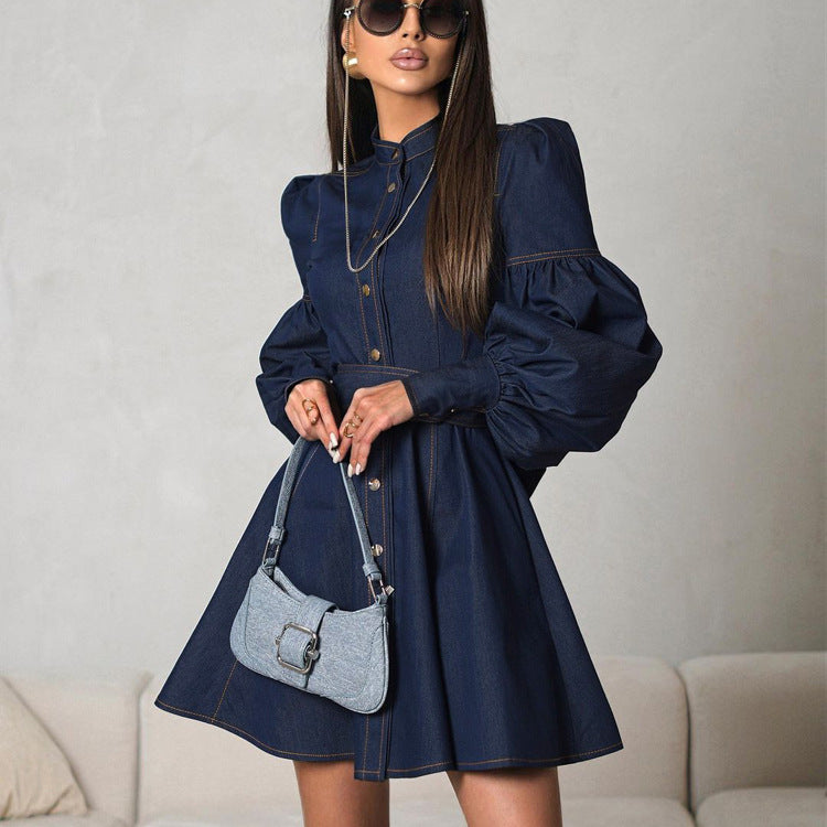 Women's Fashion Denim Lantern Sleeve Tie-Waist Dress